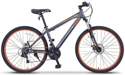 top rated budget mountain bikes