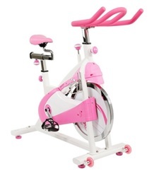 sunny health & fitness p8150 indoor cycling bike image