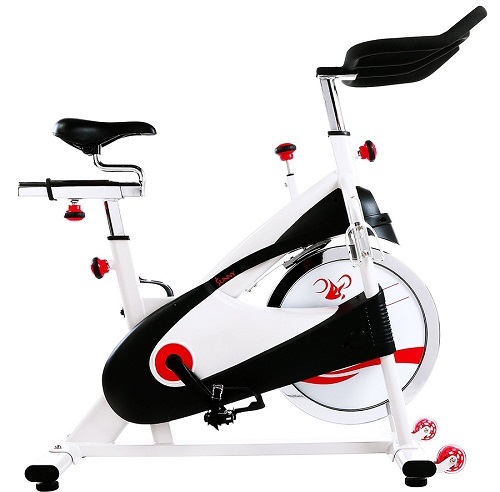sunny health & fitness sf b1509 indoor cycling exercise bike image